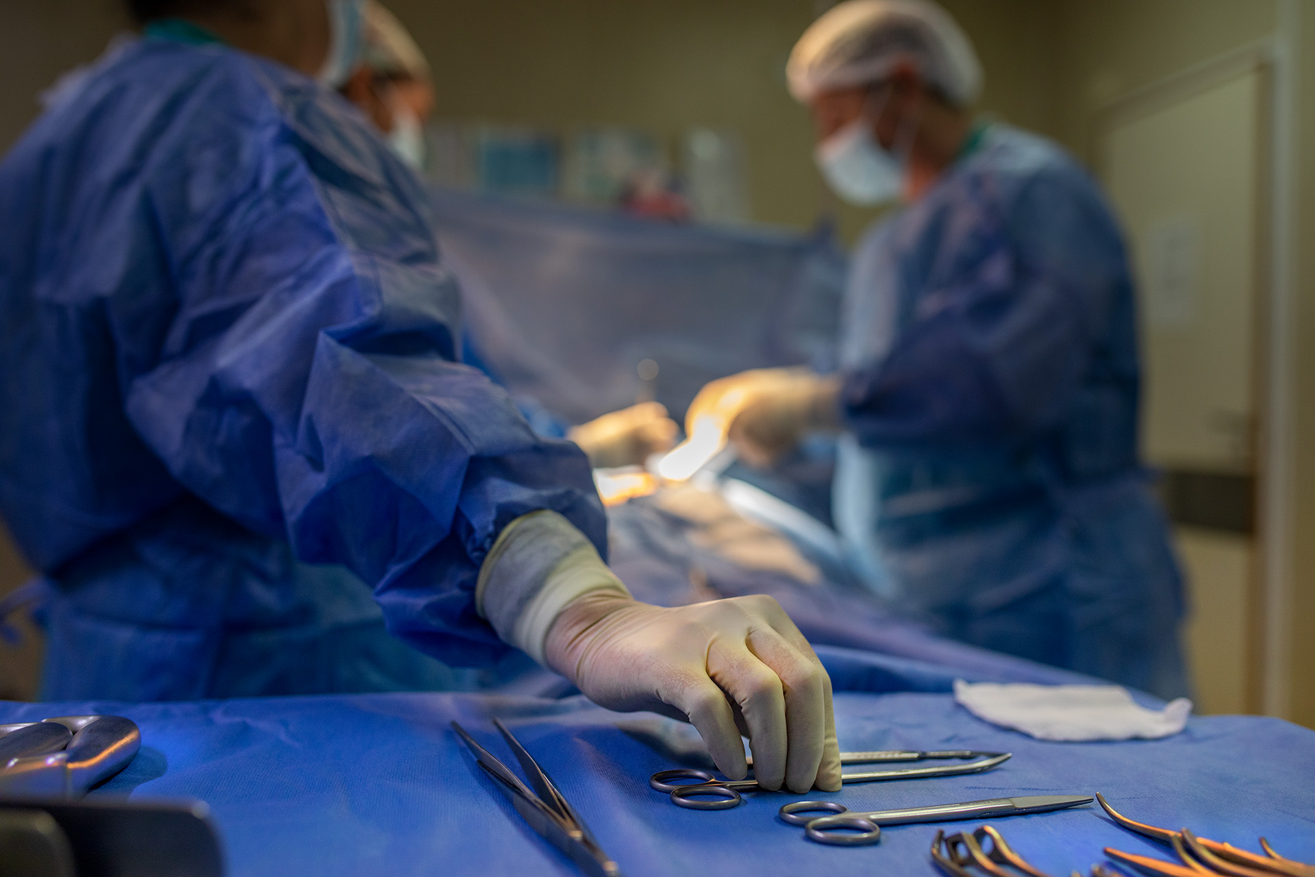 Durante 2025 la provincia registró grandes logros en materia de procuración y trasplante de órganos y tejidos